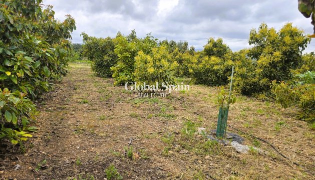 LAND - Resale - PEGO -
                Pego