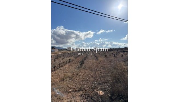 LAND - Resale - PINOSO -
                el Pinós / Pinoso