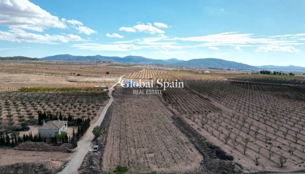 LAND - Resale - PINOSO -
                Lel