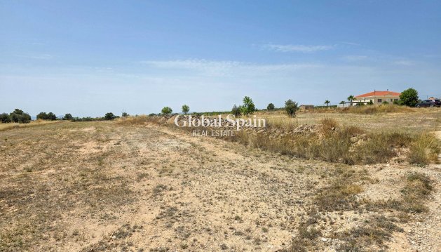 LAND - Resale - PINOSO -
                Pinoso