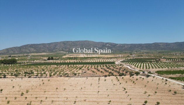 LAND - Resale - PINOSO -
                Pinoso