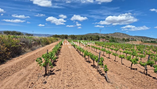 LAND - Resale - PINOSO -
                Pinoso