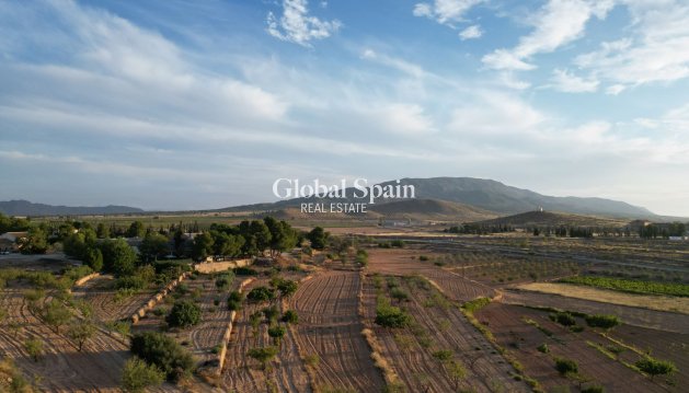 LAND - Resale - PINOSO -
                Pinoso