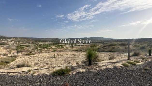LAND - Resale -
                TORREMENDO - CW-19402