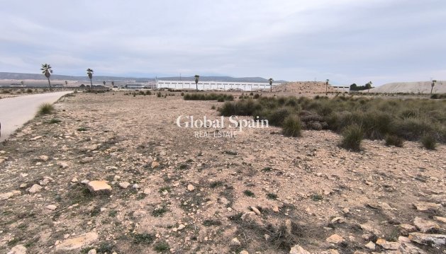 LAND - Resale - YECLA -
                Inland