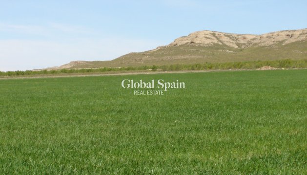 LAND - Resale - YECLA -
                Inland