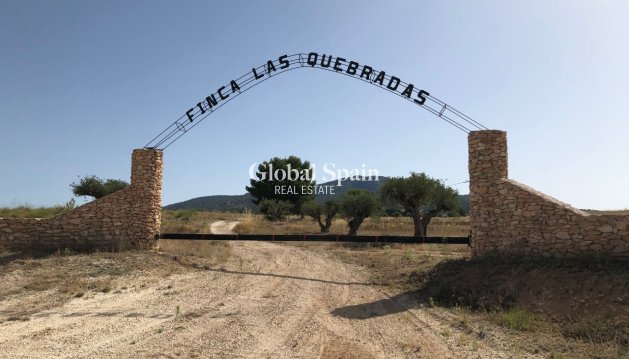 LAND - Resale - YECLA -
                Inland