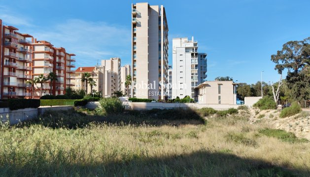 Land - Wederverkoop -
                GUARDAMAR DEL SEGURA - SIS-31366