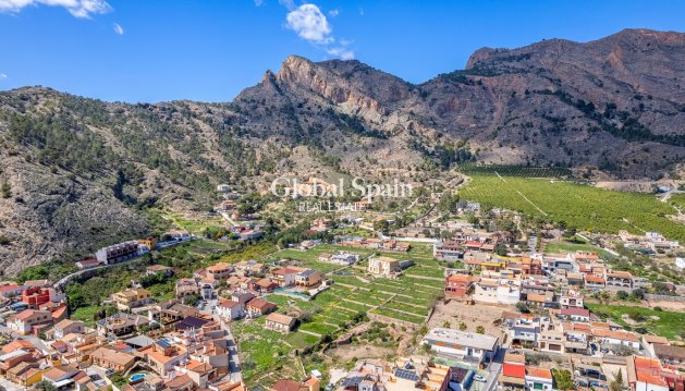 Landelijk onroerend goed/Finca - Wederverkoop - ORIHUELA -
                Orihuela