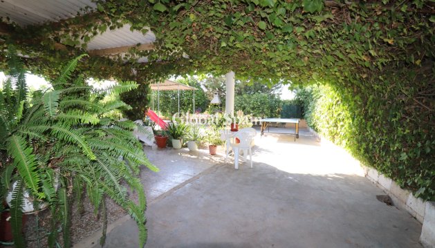 Landimmobilie/Finca - Wiederverkauf - ALBATERA -
                ALBATERA