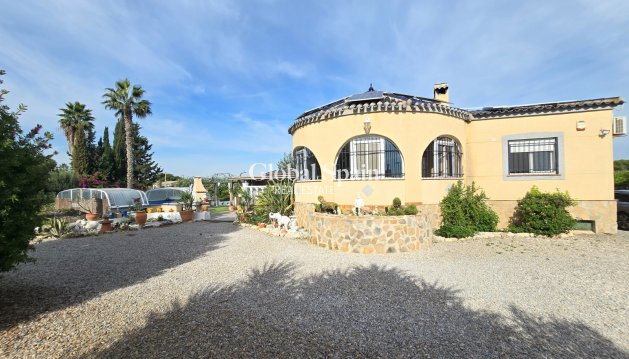 Landimmobilie/Finca - Wiederverkauf - DOLORES -
                DOLORES