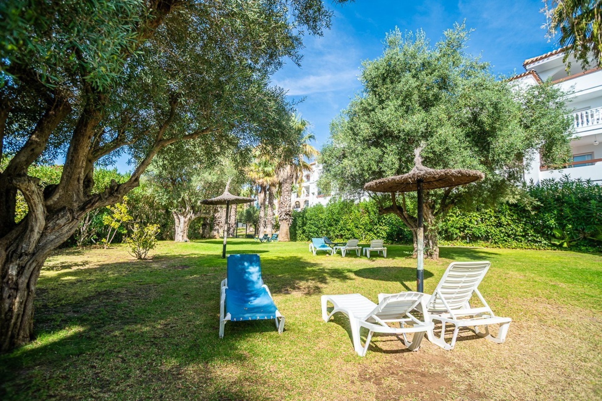 Lange termijn verhuur - Appartement -
ORIHUELA - VILLAMARTÍN