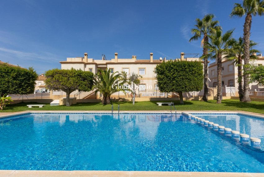 Langzeitmiete - WOHNUNG -
TORREVIEJA - Zona los Frutales