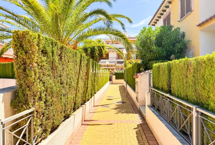 Location à court terme - Appartement -
PLAYA FLAMENCA - Zeniamar