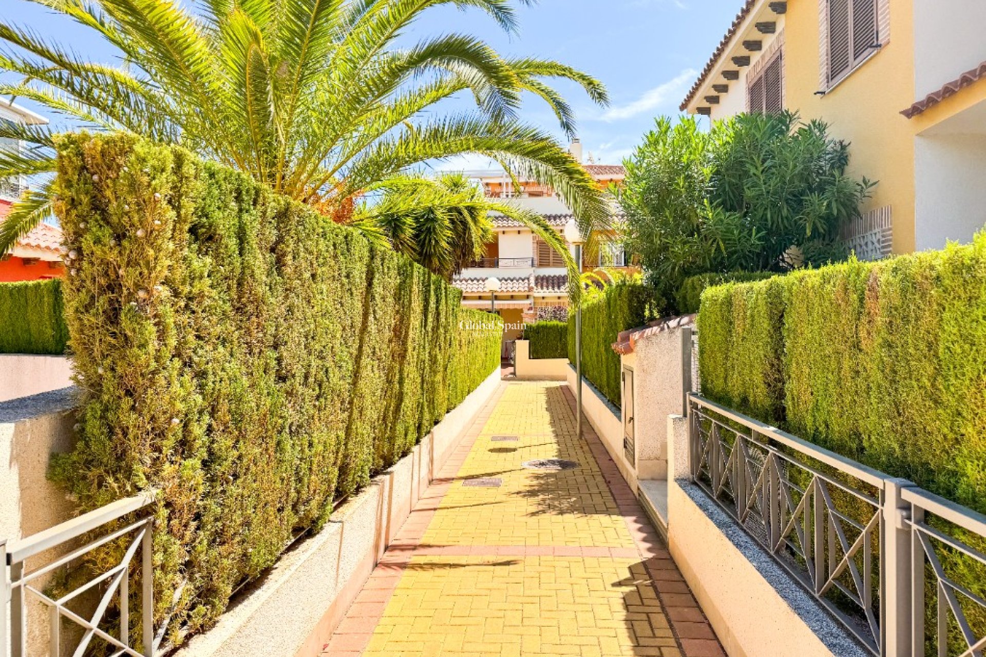 Location à court terme - Appartement -
PLAYA FLAMENCA - Zeniamar