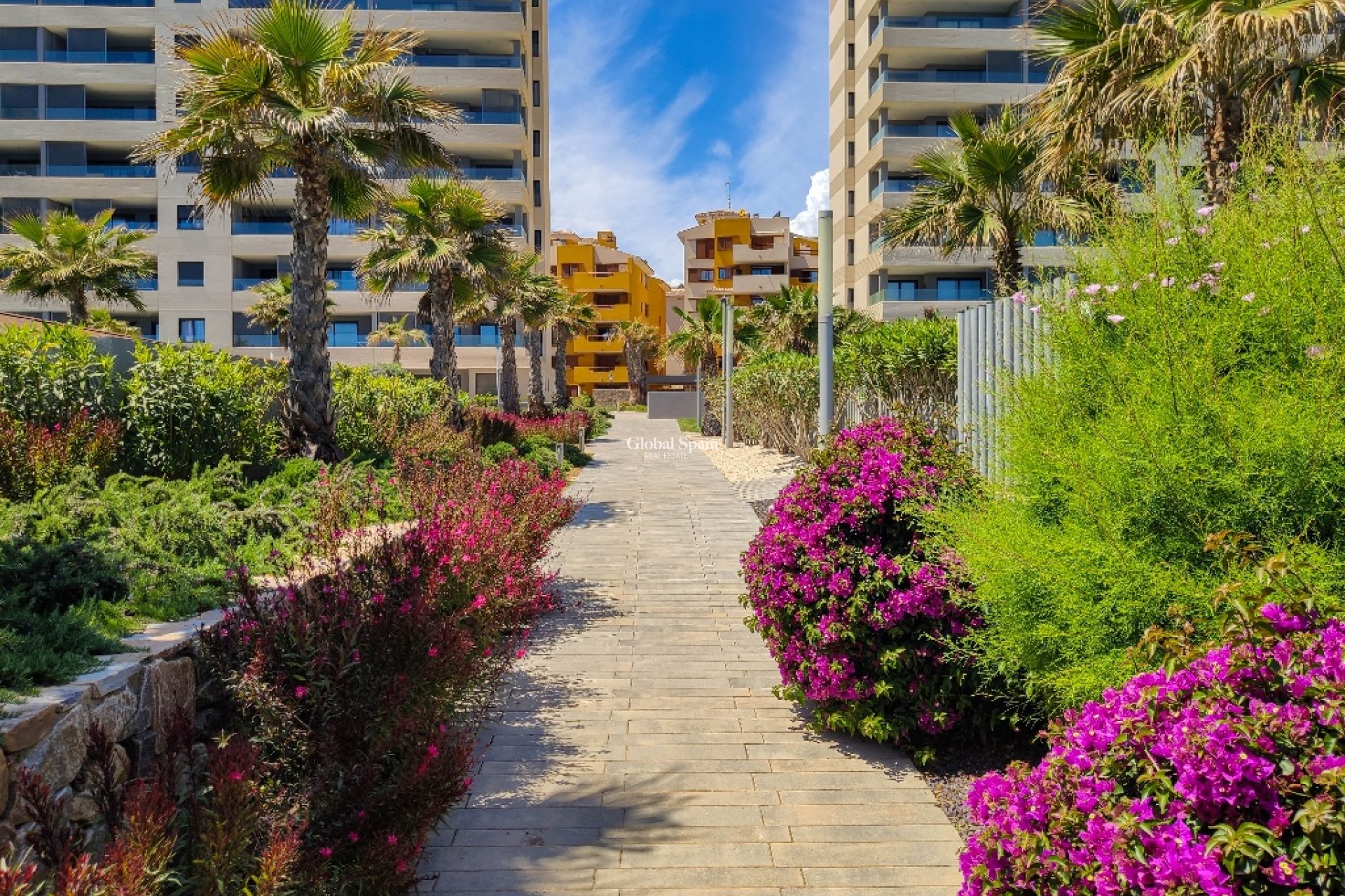 Location à court terme - Appartement -
PUNTA PRIMA - Panorama Mar