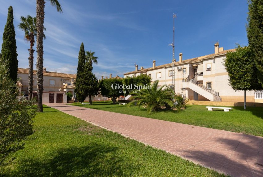 Long Term Rental - APARTMENT -
TORREVIEJA - Zona los Frutales