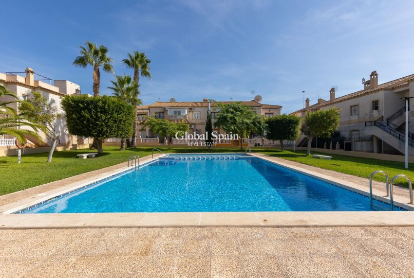 Long Term Rental - APARTMENT -
TORREVIEJA - Zona los Frutales