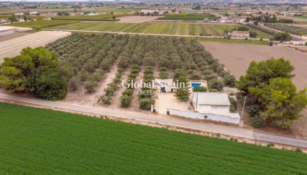 MAISON - Revente - DOLORES -
                Costa Blanca