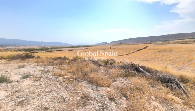 MAISON - Revente - JUMILLA -
                Inland