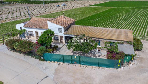 MAISON - Revente - ORIHUELA -
                Desamparados-hurchillo-torremendo