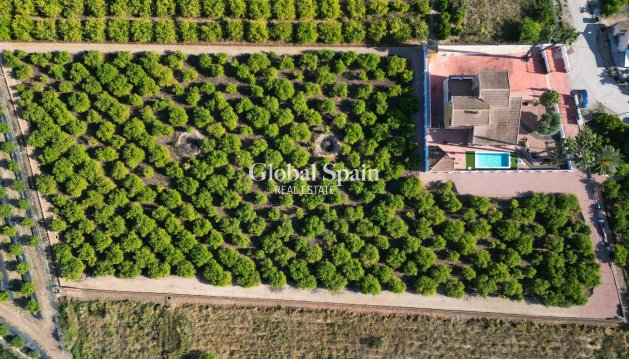 MAISON - Revente - ORIHUELA -
                Inland