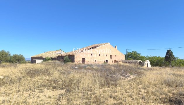 MAISON - Revente - RASPAY -
                Inland