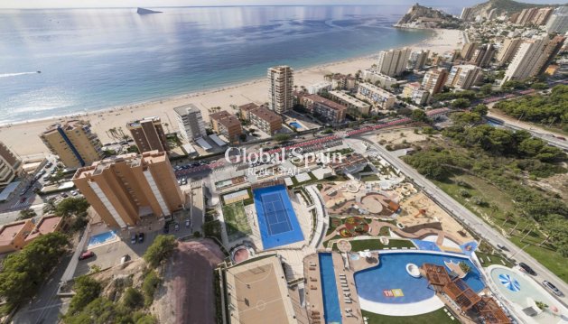 MIESZKANIE - Odsprzedaż - BENIDORM -
                Costa Blanca