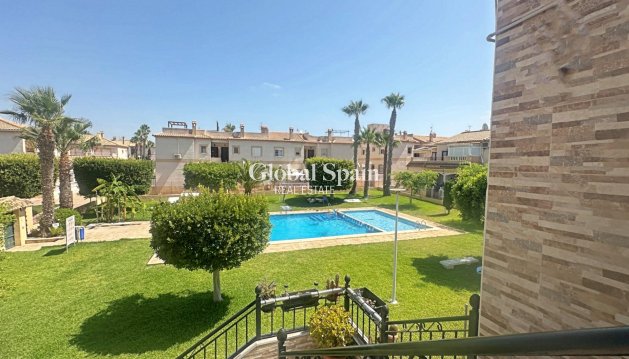 MIESZKANIE - Odsprzedaż - TORREVIEJA -
                Aguas Nuevas