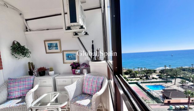 MIESZKANIE - Odsprzedaż - TORREVIEJA -
                Cabo Cervera