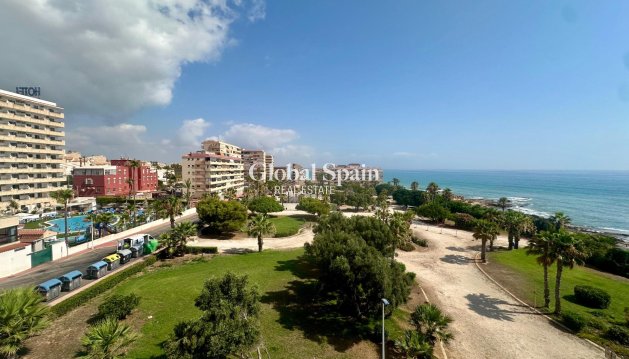 MIESZKANIE - Odsprzedaż - TORREVIEJA -
                Cabo Cervera