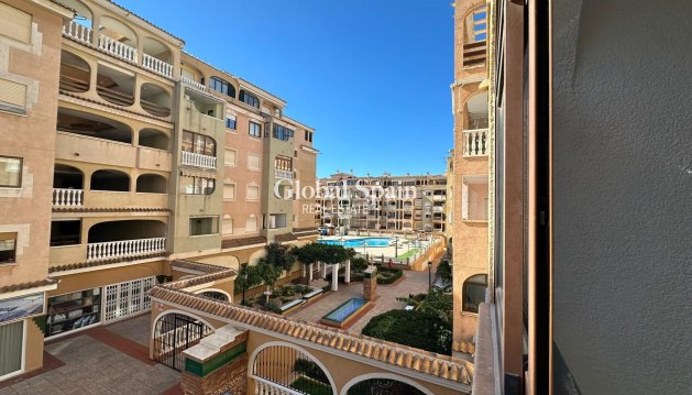 MIESZKANIE - Odsprzedaż - TORREVIEJA -
                Center