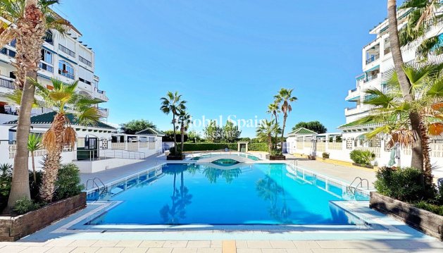 MIESZKANIE - Odsprzedaż - TORREVIEJA -
                La Mata