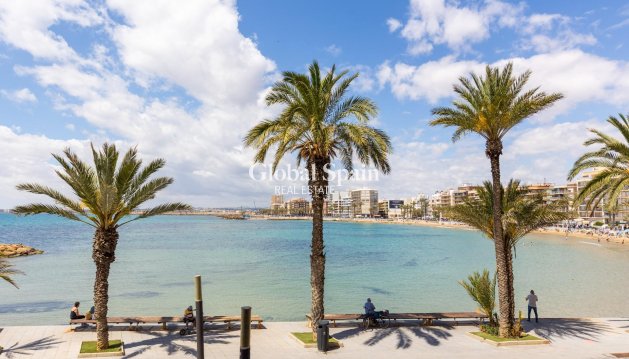 MIESZKANIE - Odsprzedaż - TORREVIEJA -
                Playa del cura