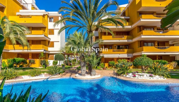 MIESZKANIE - Odsprzedaż - TORREVIEJA -
                Punta Prima