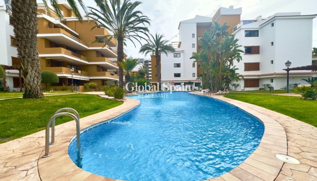 MIESZKANIE - Odsprzedaż - TORREVIEJA -
                Punta prima