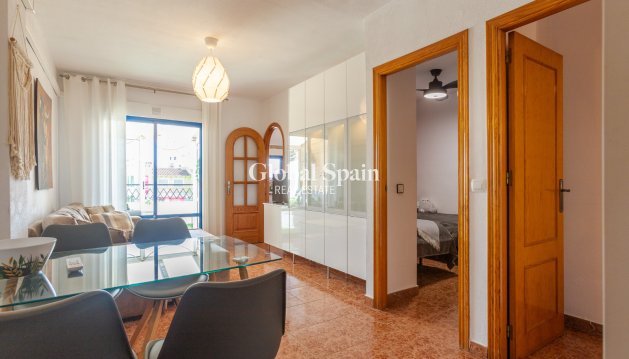 MIESZKANIE - Odsprzedaż - TORREVIEJA -
                Torrevieja