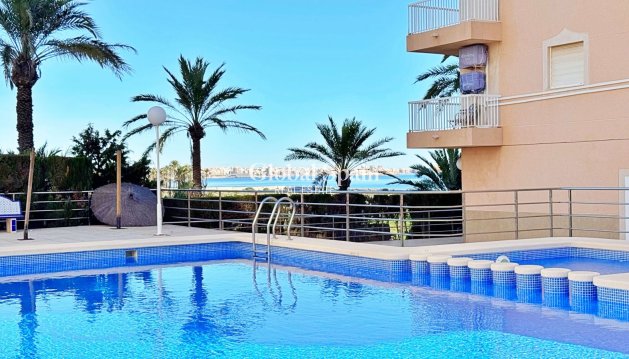 MIESZKANIE - Odsprzedaż - TORREVIEJA -
                