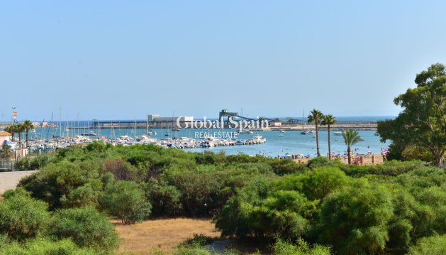 MIESZKANIE - Odsprzedaż - TORREVIEJA -
                