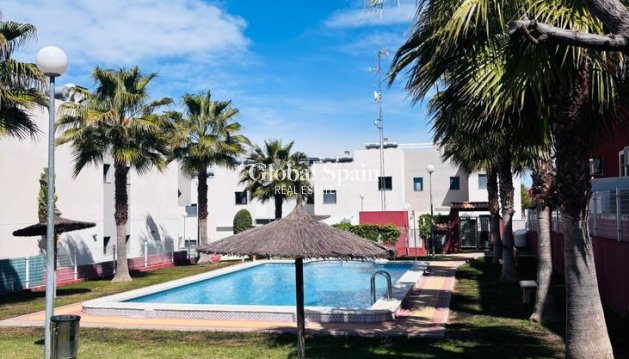 MIESZKANIE - Odsprzedaż - TORREVIEJA -
                