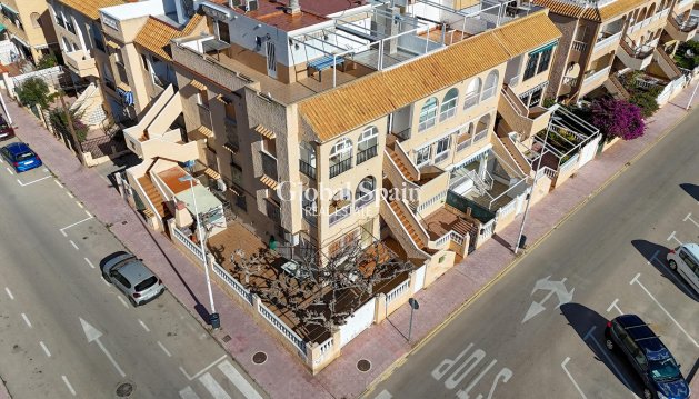 MIESZKANIE - Odsprzedaż - TORREVIEJA -
                