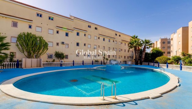 MIESZKANIE - Odsprzedaż - TORREVIEJA -
                