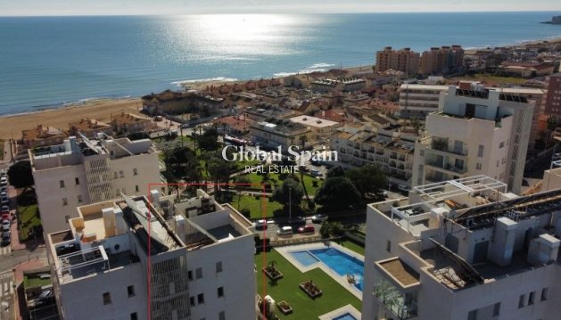 MIESZKANIE - Odsprzedaż - TORREVIEJA -
                