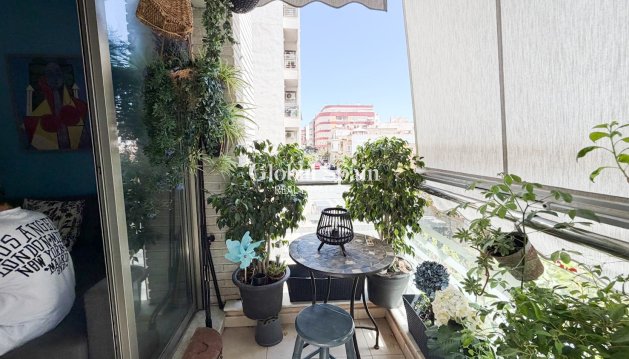 MIESZKANIE - Odsprzedaż - TORREVIEJA -
                