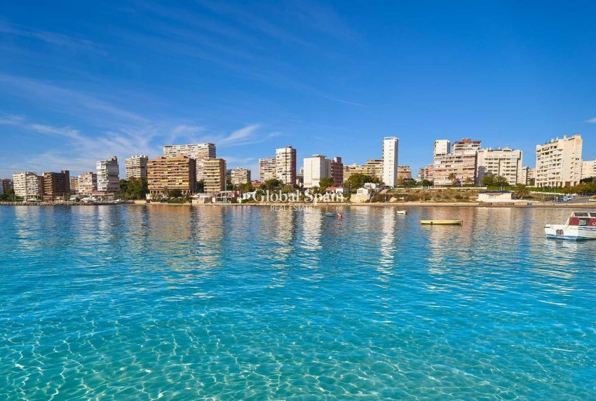 Neubau - HAUS -
ELCHE - Partida Barranquets