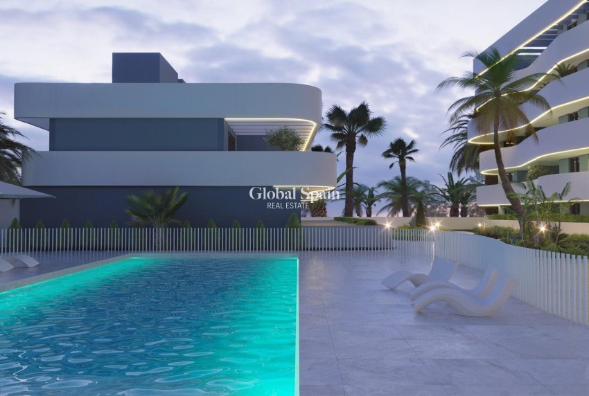 Neubau - HAUS -
GUARDAMAR DEL SEGURA - EL RASO