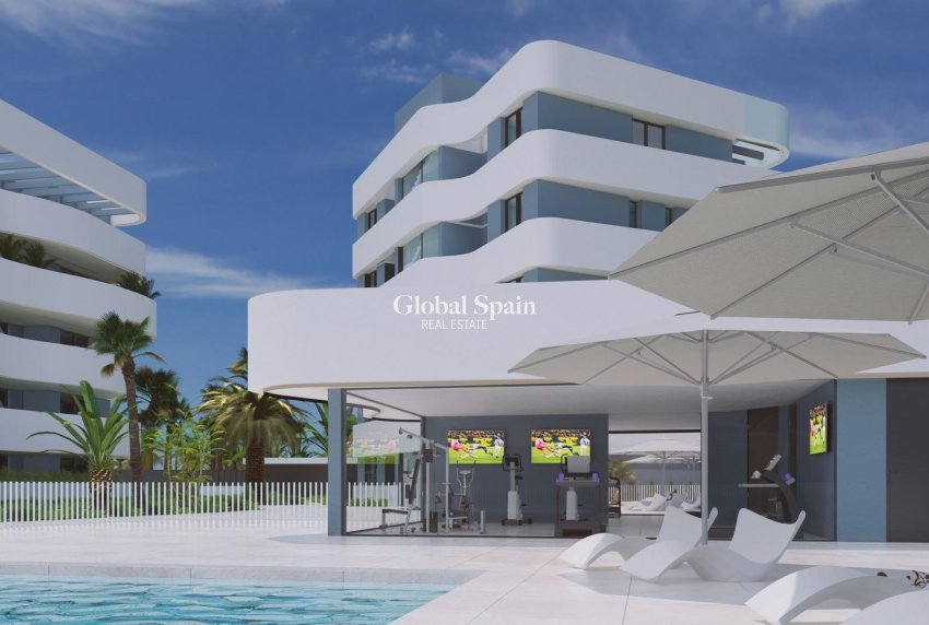 Neubau - HAUS -
GUARDAMAR DEL SEGURA - EL RASO