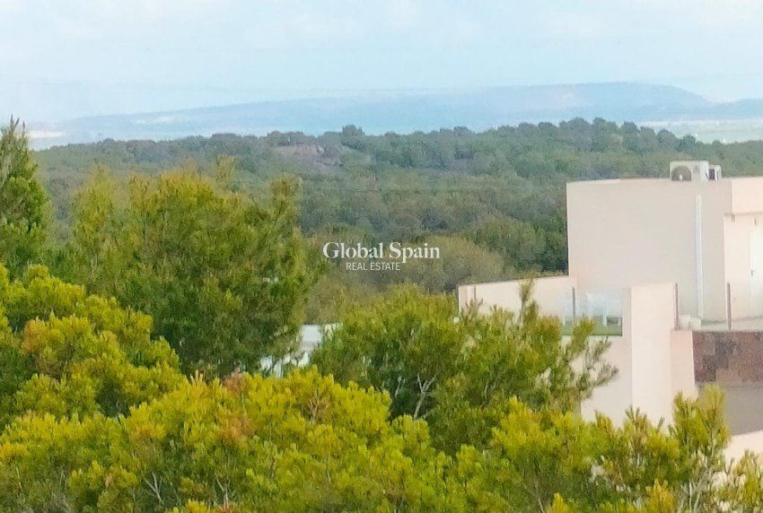 Neubau - HAUS -
ORIHUELA COSTA - Pau 26