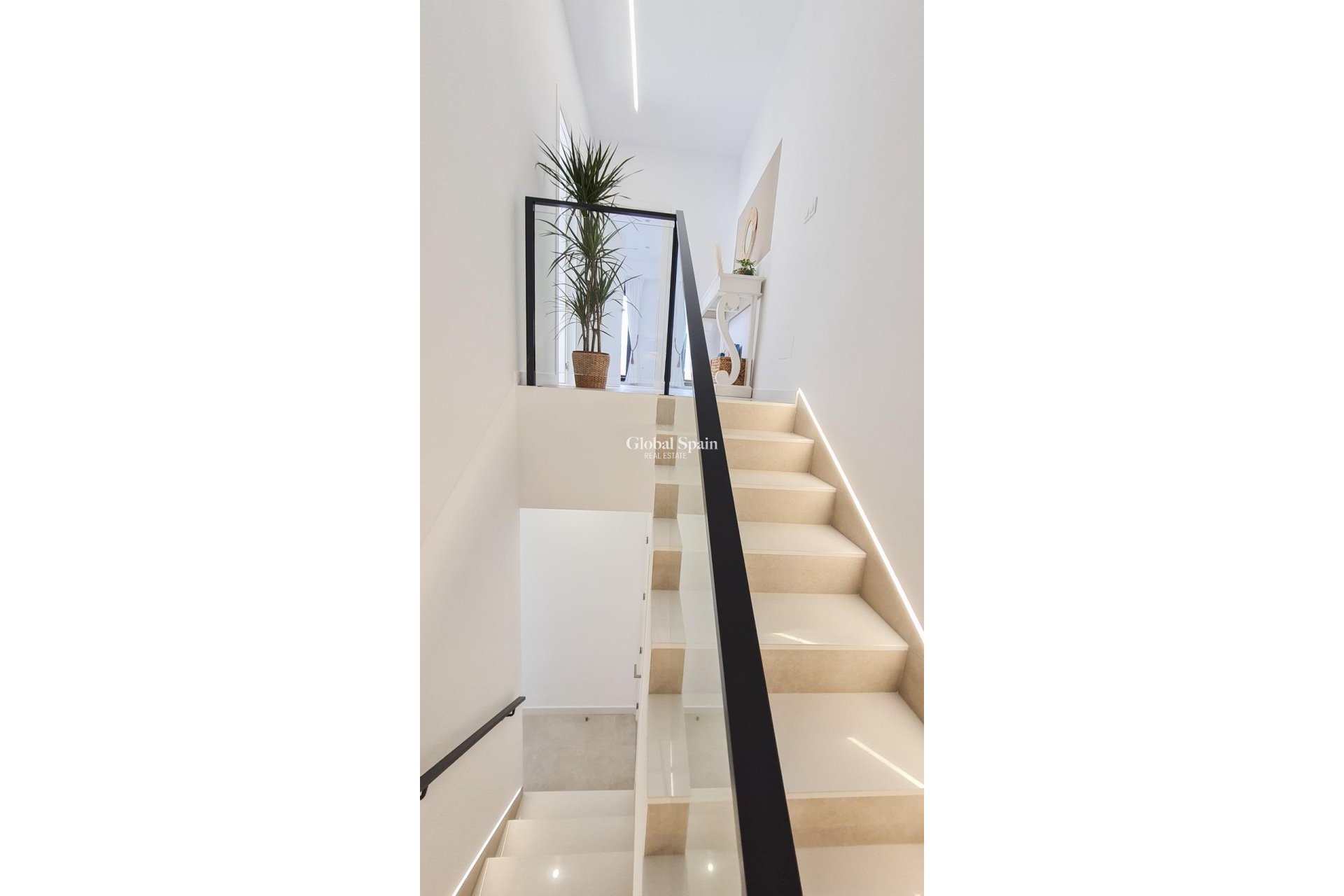 Neubau - HAUS -
SAN PEDRO DEL PINATAR - Los antolinos