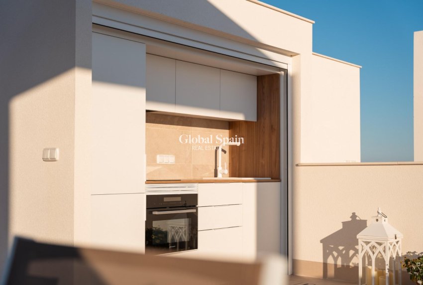 Neubau - Penthaus -
GUARDAMAR DEL SEGURA - EL RASO